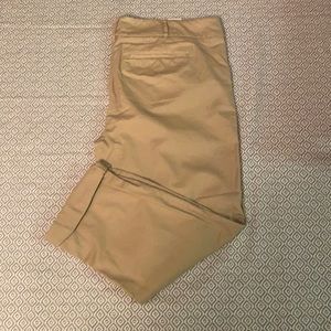 Loft Skinny Capris